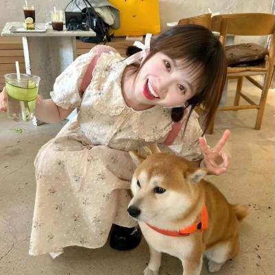 异邦人：无皇刃谭